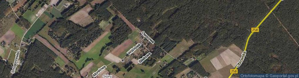 Zdjęcie satelitarne Owocowa ul.